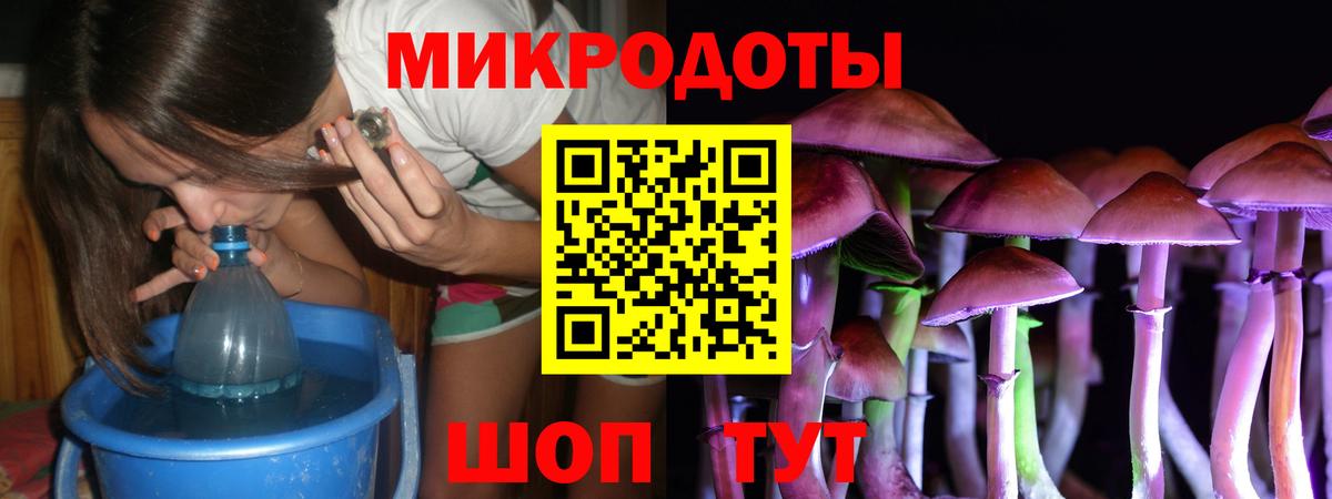 Галлюциногенные грибы Psilocybe Приморско-Ахтарск